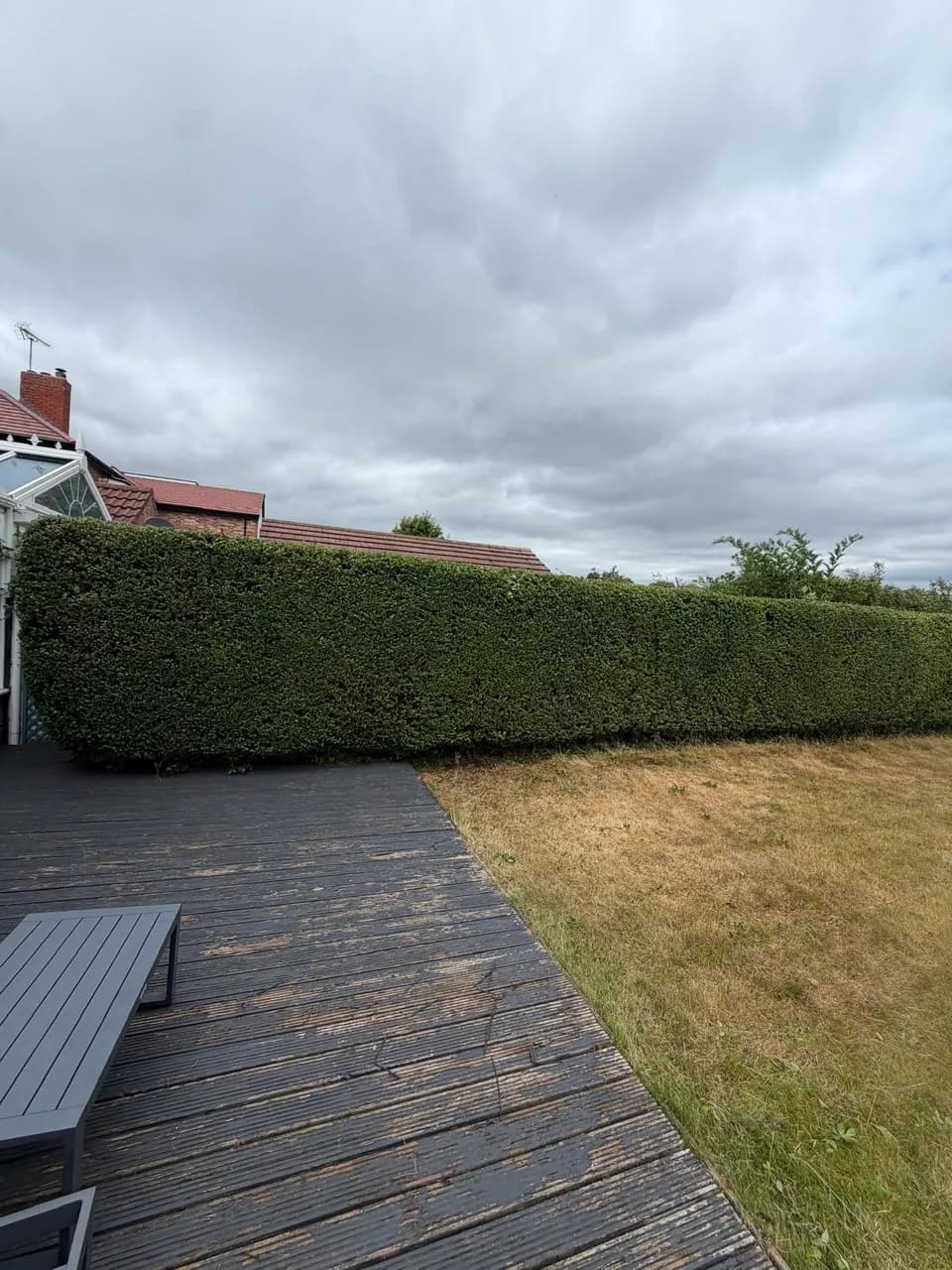 Evenly finished hedge beside the garden deck after trimming