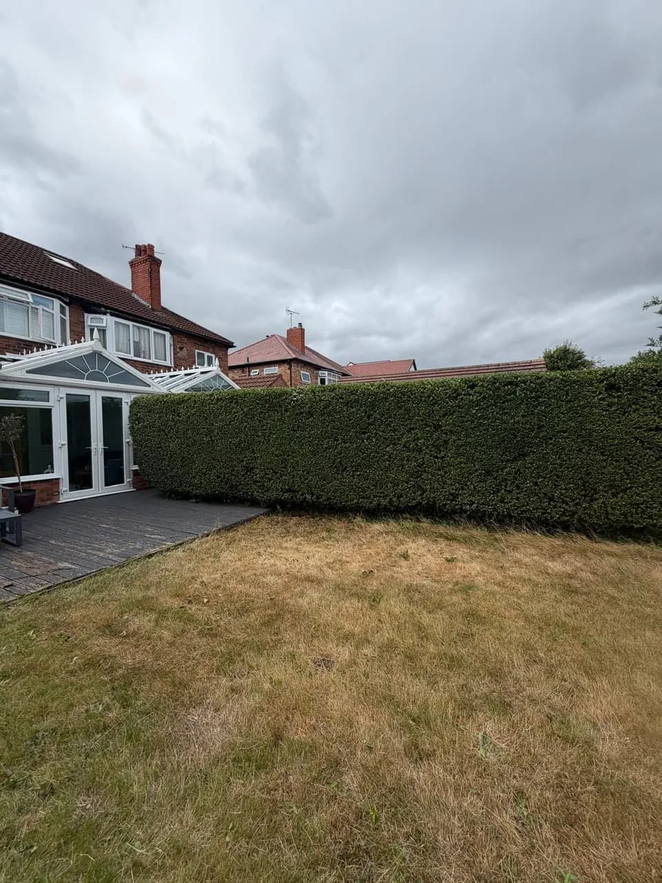 Finished hedge line viewed back towards the house and deck