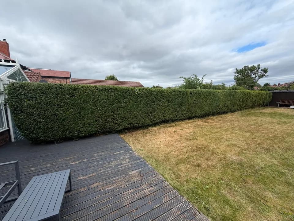 Wide finished view of the maintained hedge across the garden