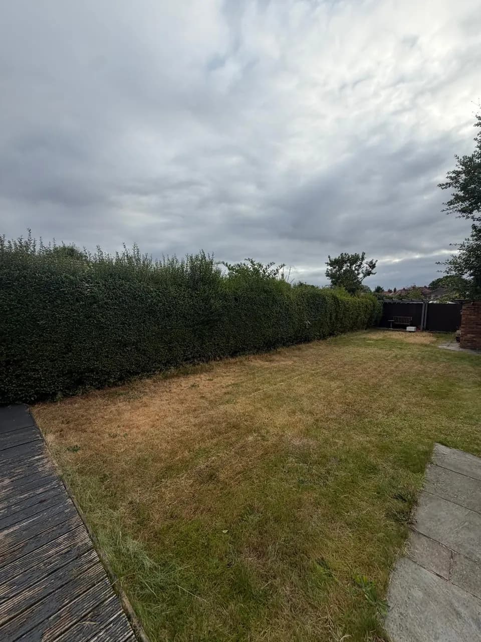 Long established boundary hedge before its maintenance trim