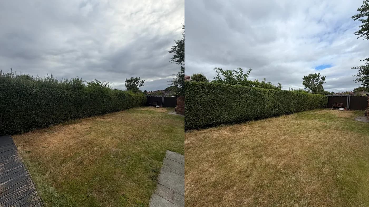 Before and after a long boundary hedge was trimmed to a cleaner and more level line