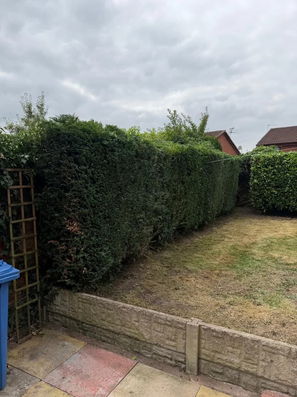 Neatly cut left-hand hedge and cleared lawn edge after garden maintenance