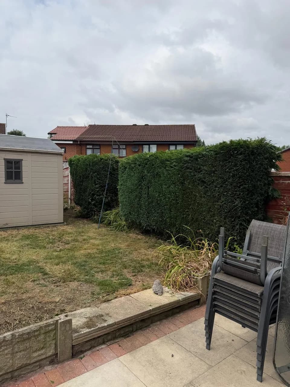 Evenly trimmed right-hand conifer hedge beside a freshly cut lawn
