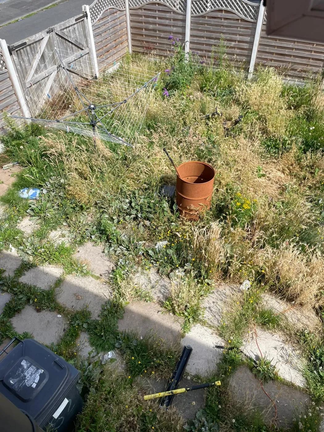 Overgrowth hiding a rotary washing line and an old oil drum in the garden