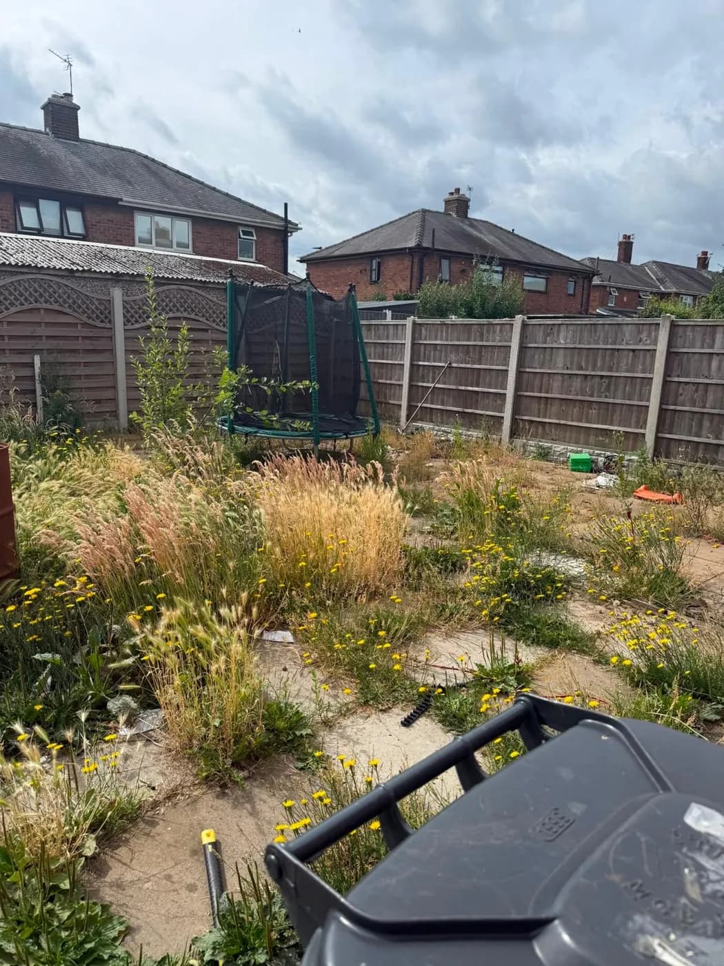 Trampoline and patio lost under long grass and weeds before clearance