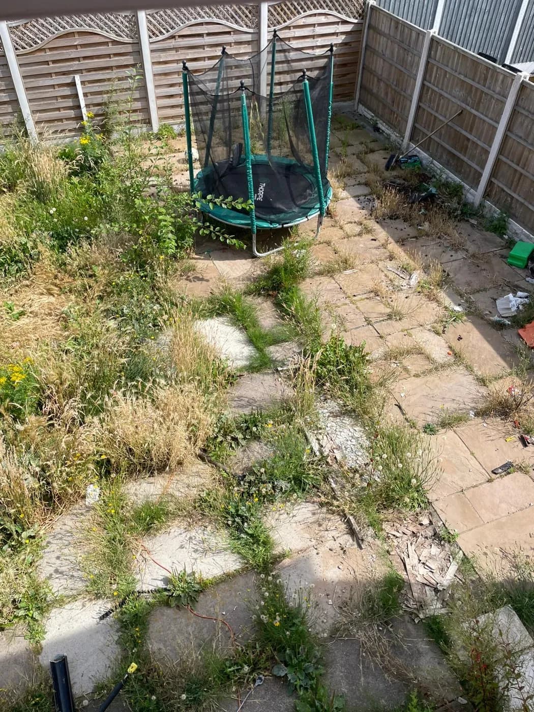 Cracked sandstone patio slabs with weeds growing through washed-out joints