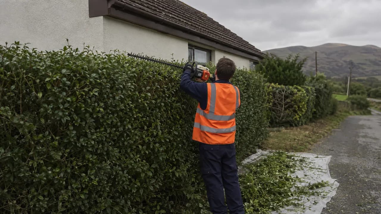 Hedge trimming in progress on a rendered 1970s bungalow on a rural Flintshire lane in North Wales, hills in the distance