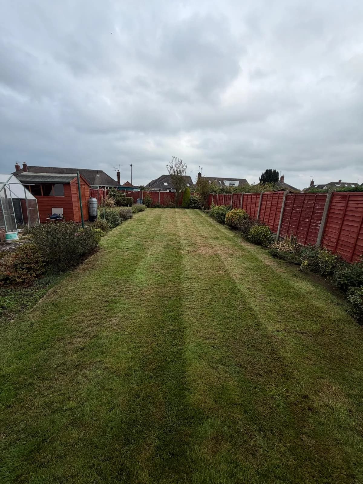 Freshly cut rectangular lawn between established planted borders, with a garden shed, greenhouse and red boundary fence