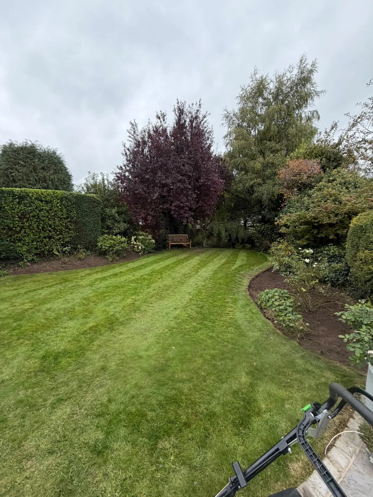 Freshly cut striped back lawn between weeded curved borders, with a trimmed hedge, mature planting and wooden bench