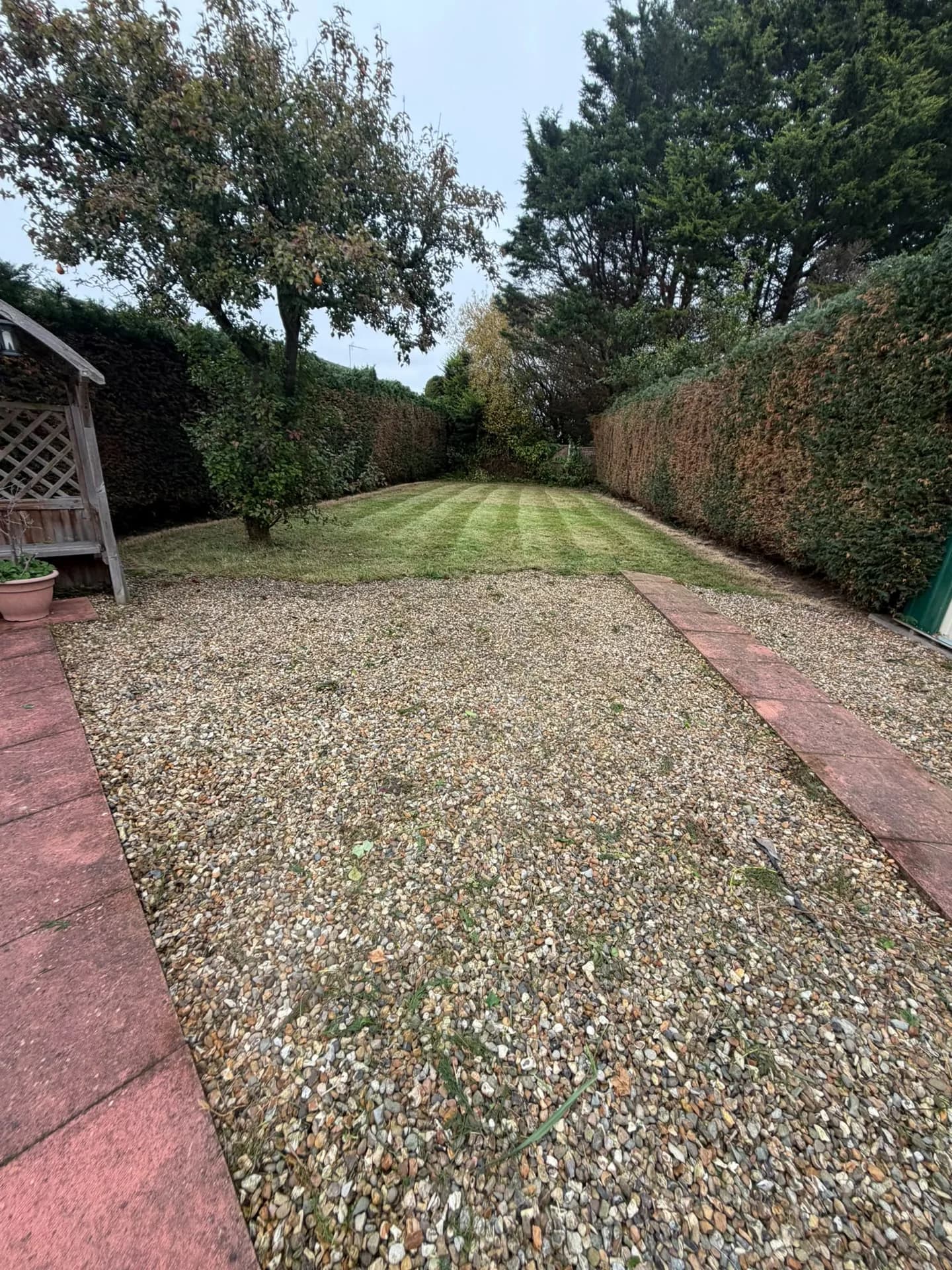 Cut lawn, shaped boundary hedges with exposed brown sections and a cleared gravel approach after the garden tidy-up