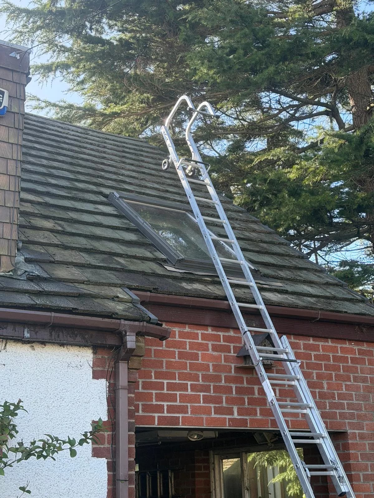 Tiled roof and rooflight after the bulk of tree needles and loose debris were cleared, with roof access equipment still in place