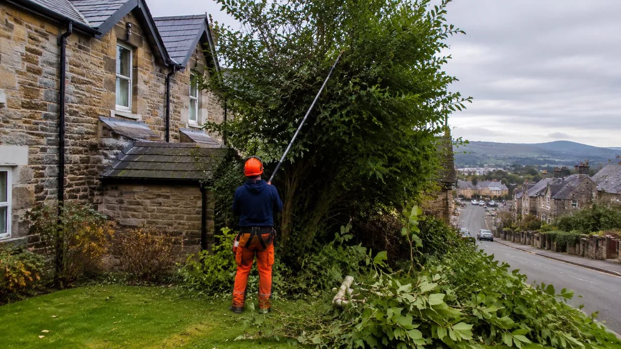 Tree reduction in progress on a stone terraced house with a slate roof on a steep street in Holywell, North Wales